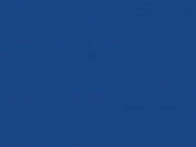 RAL 5005 (синий)